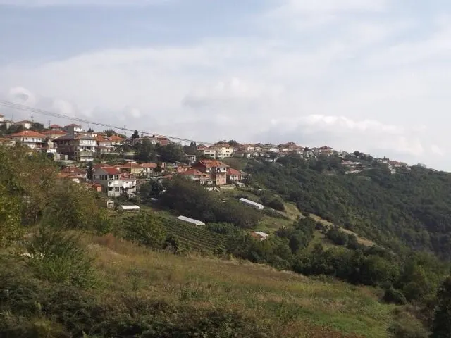 Viewofelatochori — winter Greece